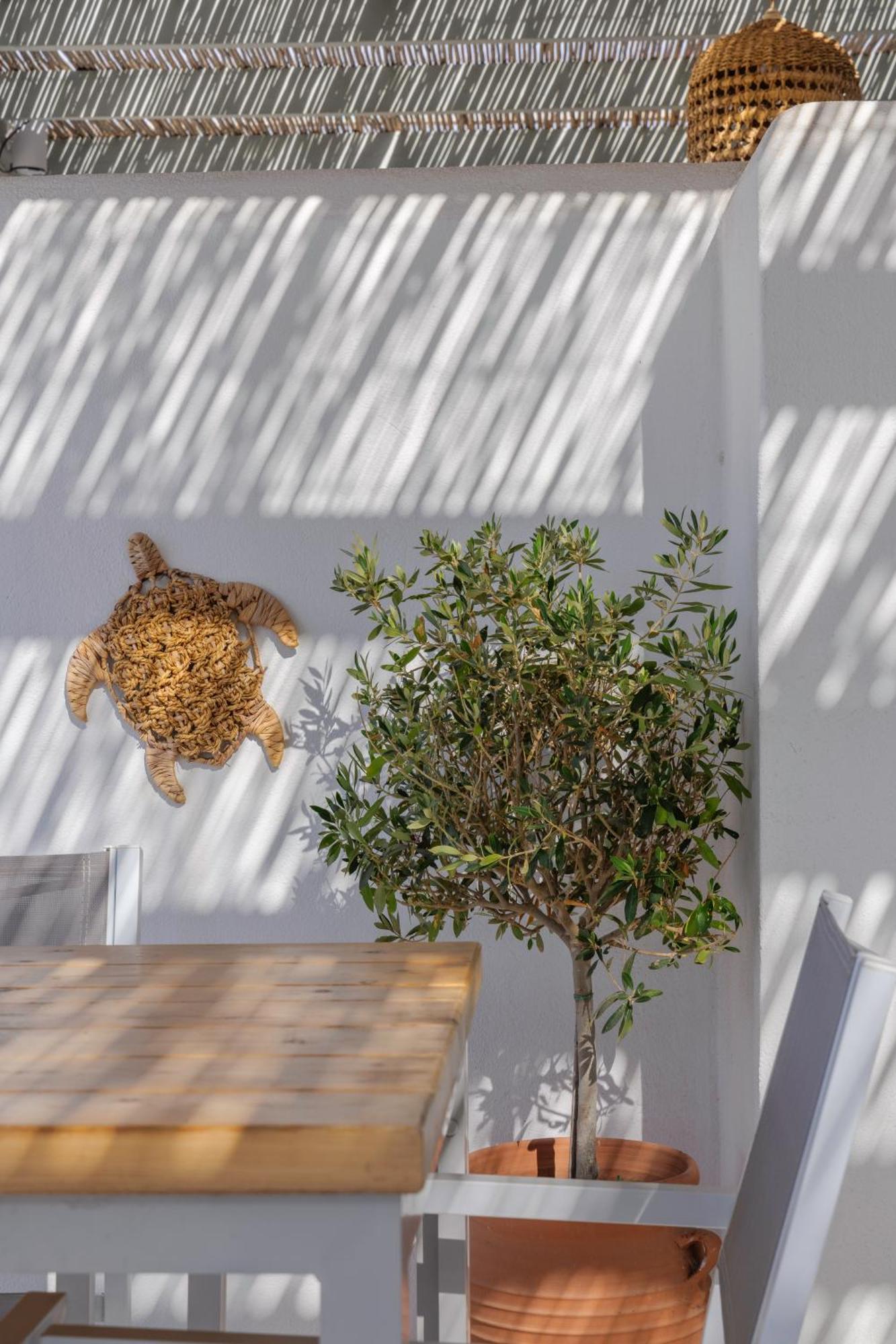 Thalassa Naxos Kastrákion Extérieur photo
