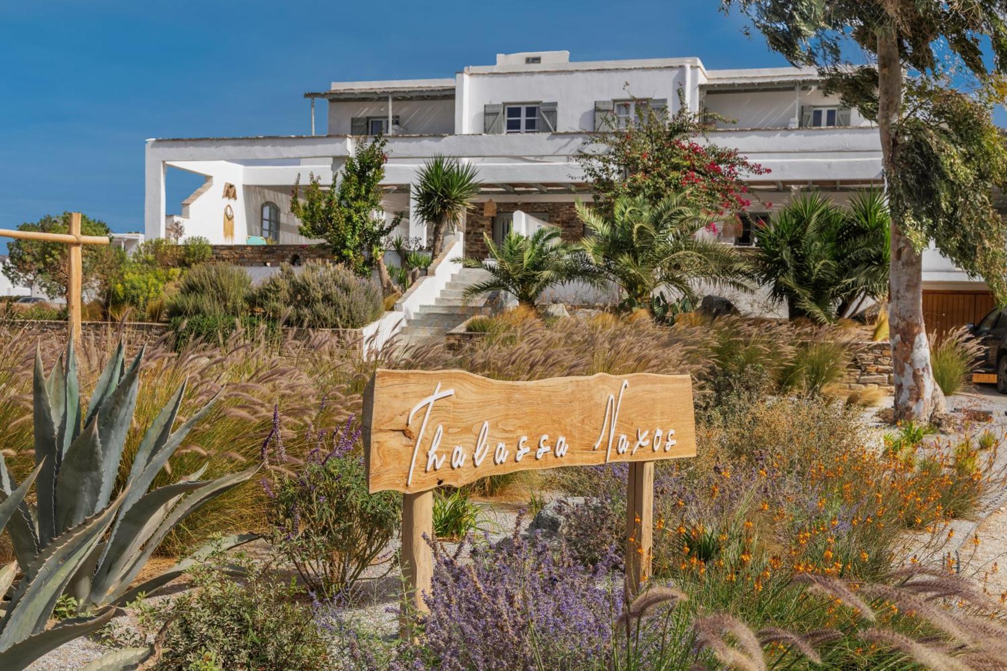 Thalassa Naxos Kastrákion Extérieur photo